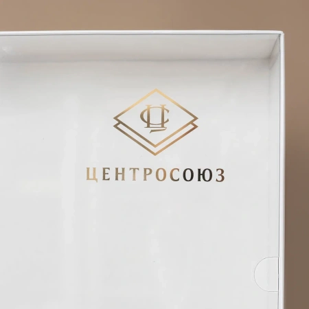  Фотография коробка крышка-дно с прозрачной крышкой для центрсоюз